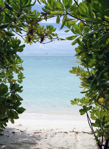 Supporting healthy oceans 