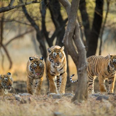 Ostindien Sehenswürdigkeiten