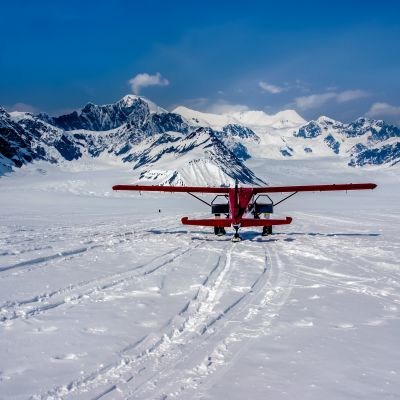 Alaska Tours