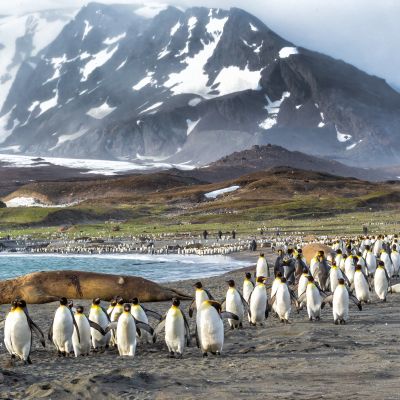 Antarktis Sehenswürdigkeiten