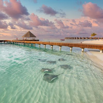 Maldives Tours