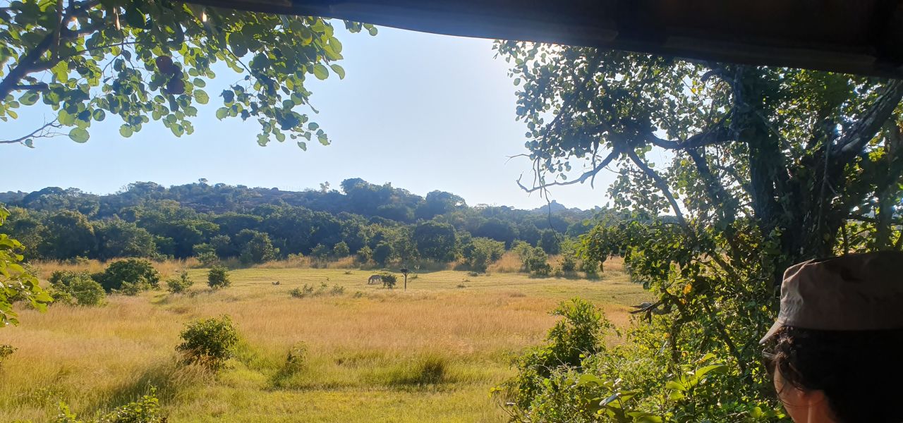 Botswana & Zimbabwe Lodge Safari