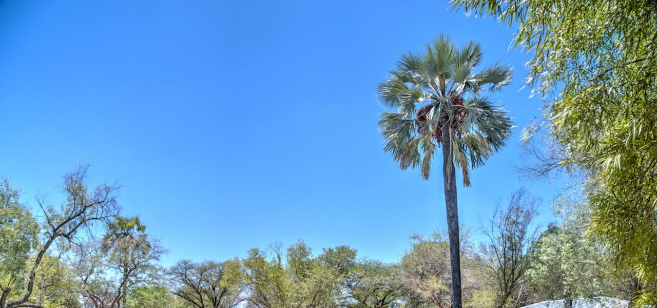 Discover Namibia – Lodges