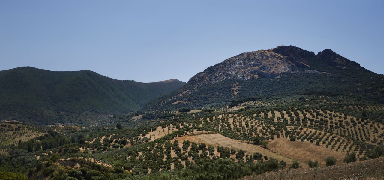 Walking in Andalucia