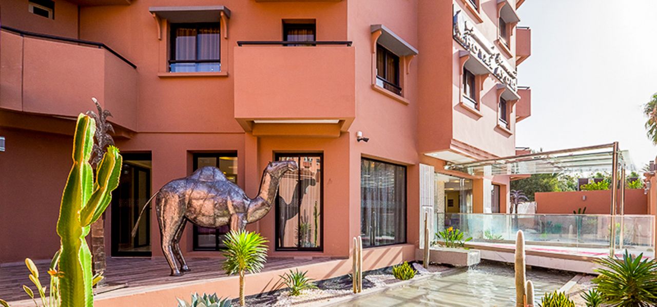 Highlights of Morocco