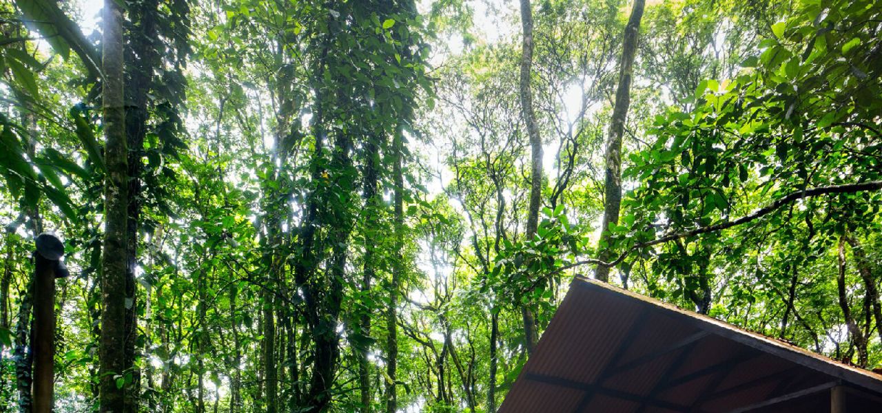 Costa Rica Adventure