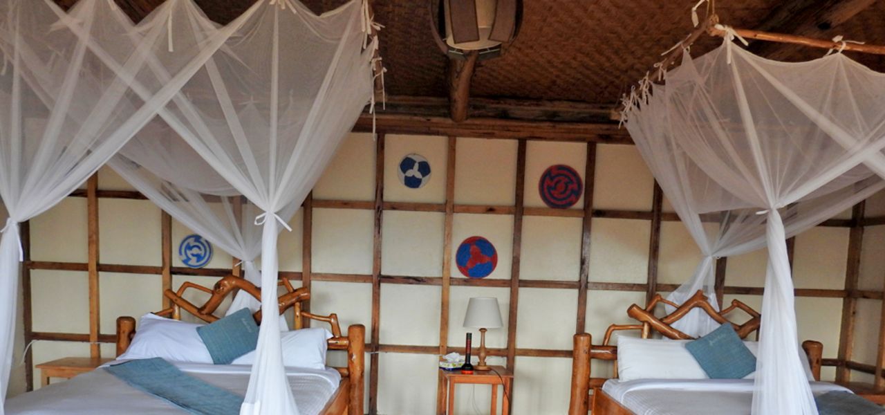 Chimps & Gorillas of Uganda