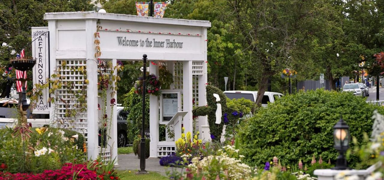 Whales & Bears of British Columbia