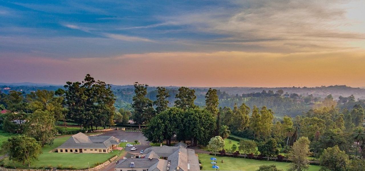 Chimps & Gorillas of Uganda