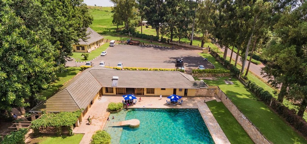 Chimps & Gorillas of Uganda