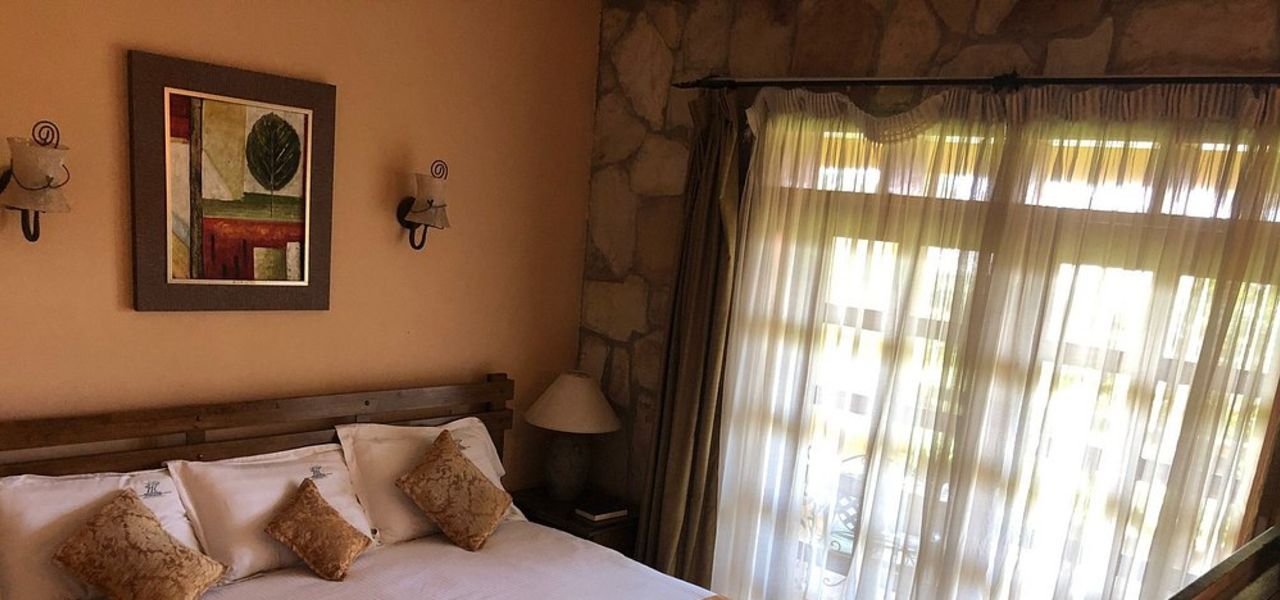 Chimps & Gorillas of Uganda