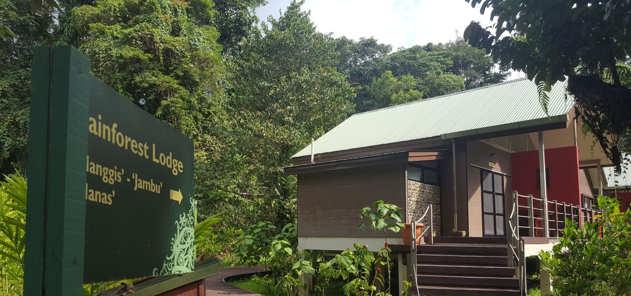 Borneo Wildlife Discoverer