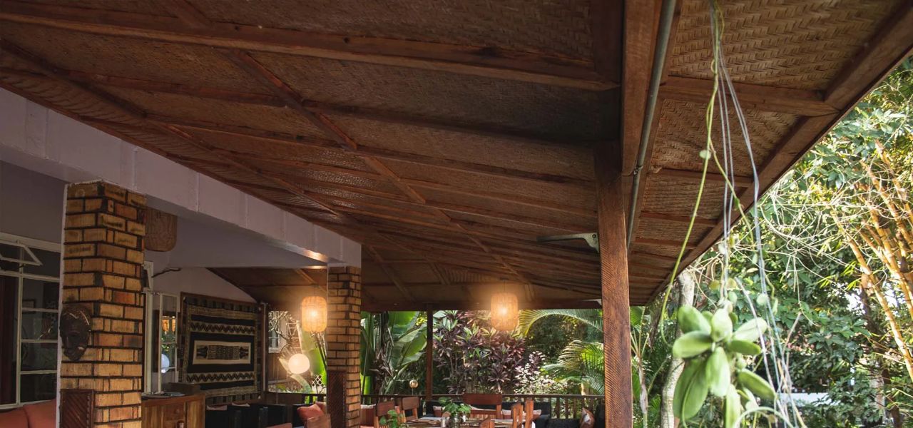 Chimps & Gorillas of Uganda