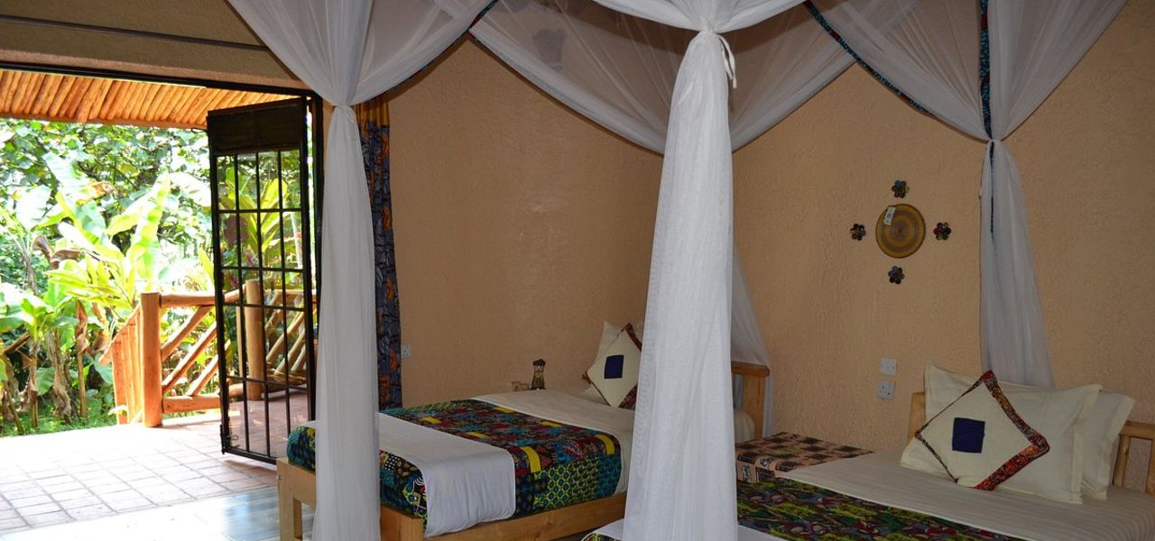 Chimps & Gorillas of Uganda