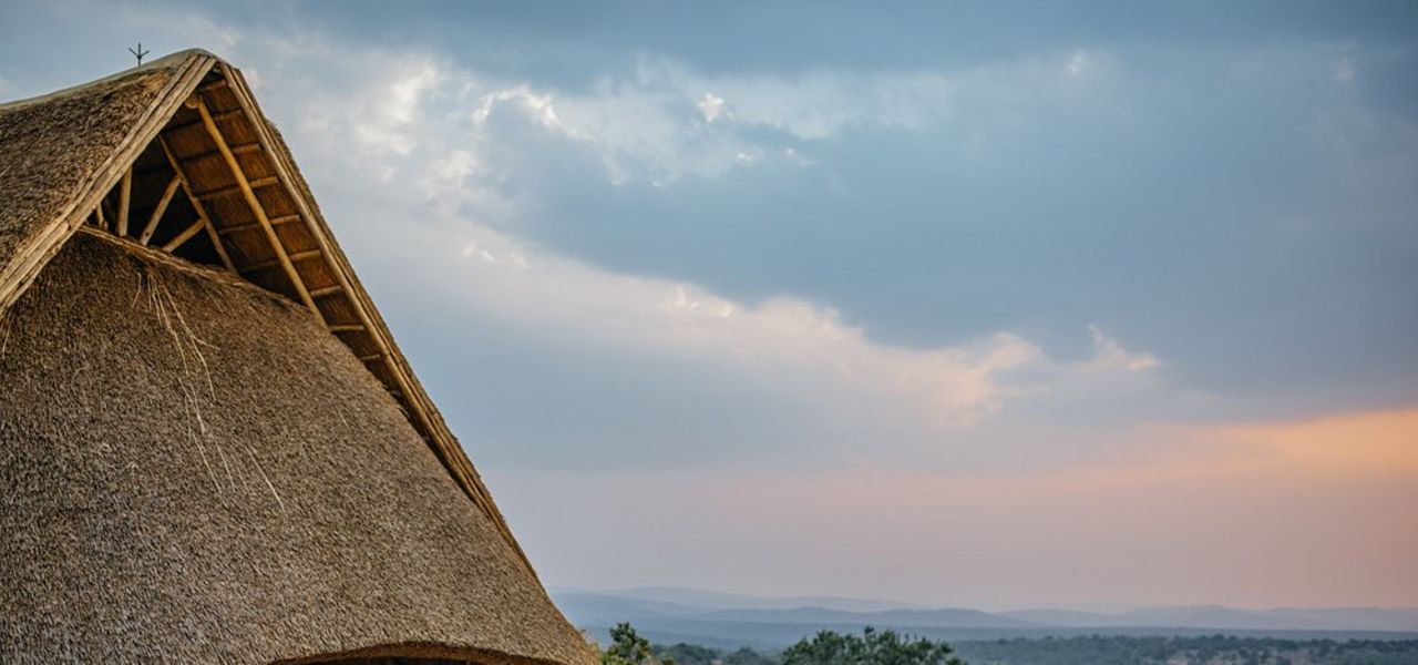 Chimps & Gorillas of Uganda