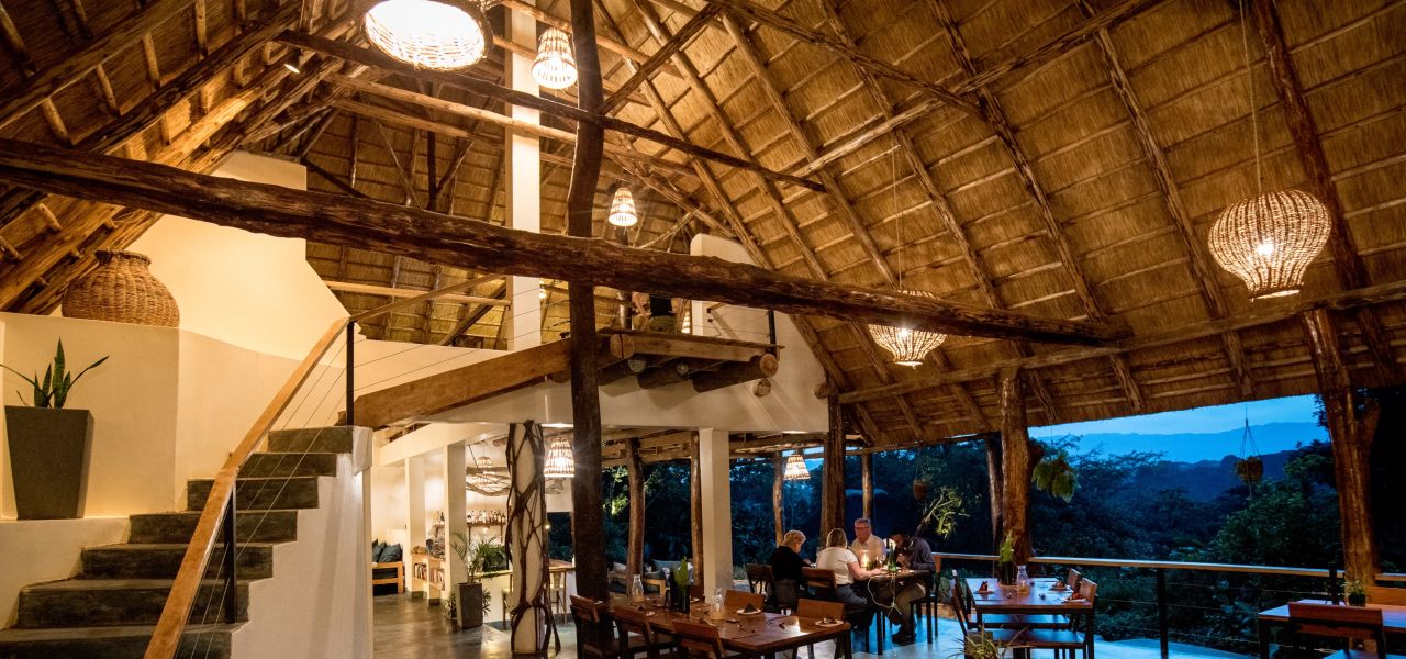 Chimps & Gorillas of Uganda