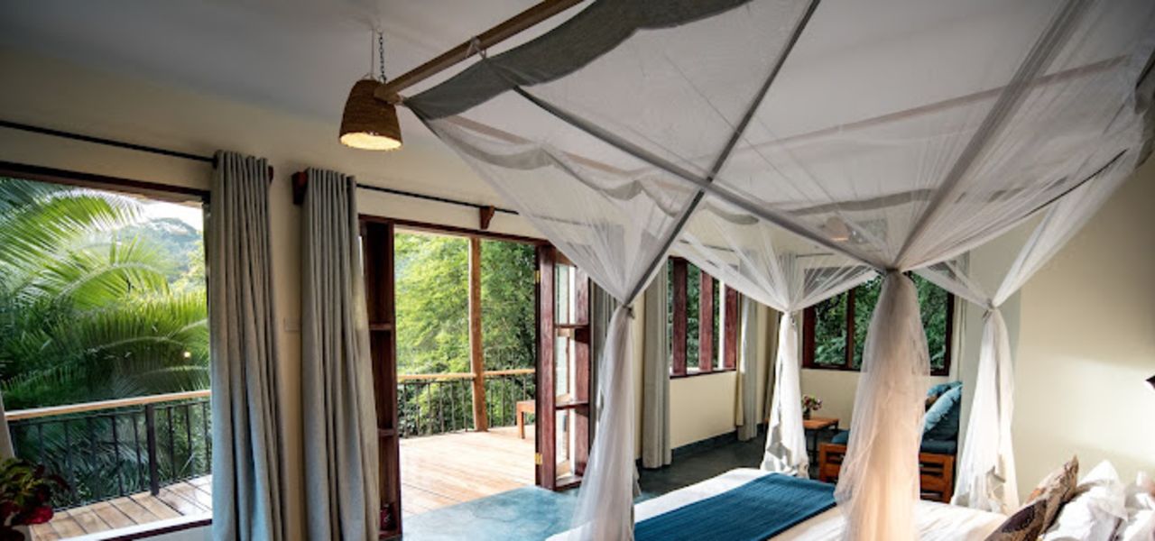 Chimps & Gorillas of Uganda