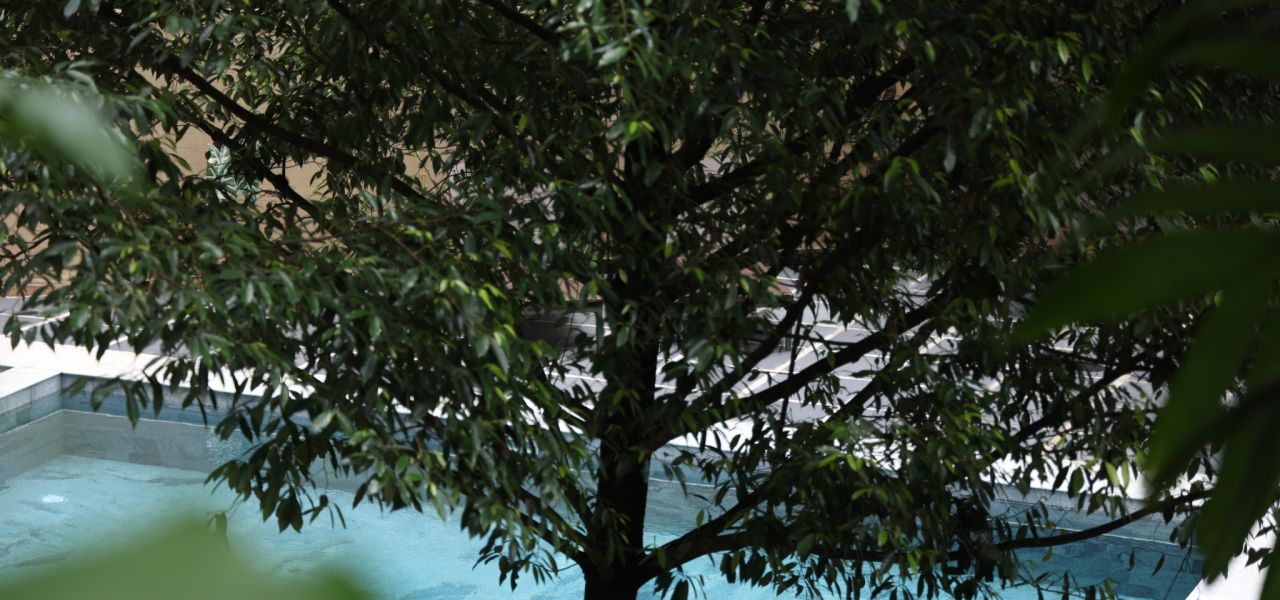 Southern India Coast to Coast Ride