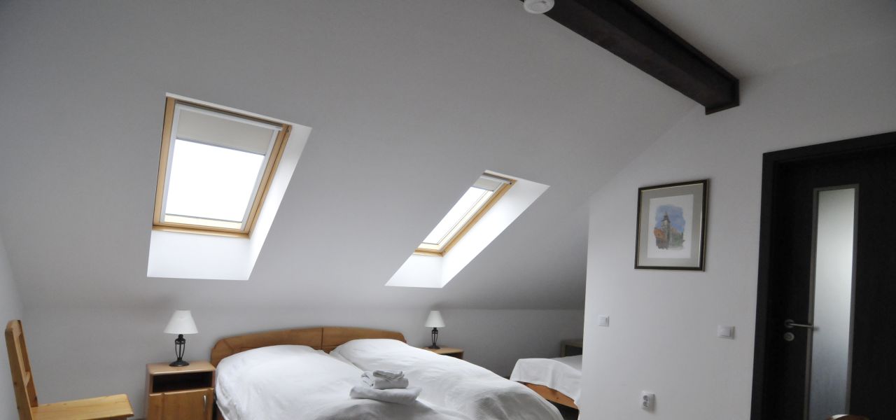 Transylvania Winter Walk & Snowshoe