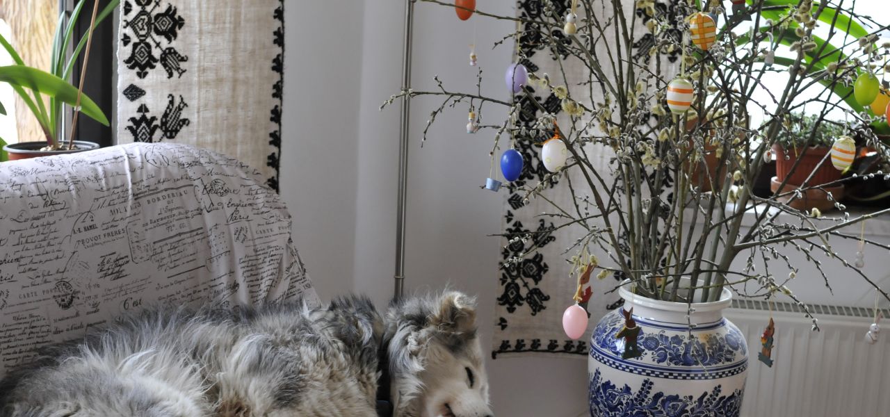 Transylvania Winter Walk & Snowshoe