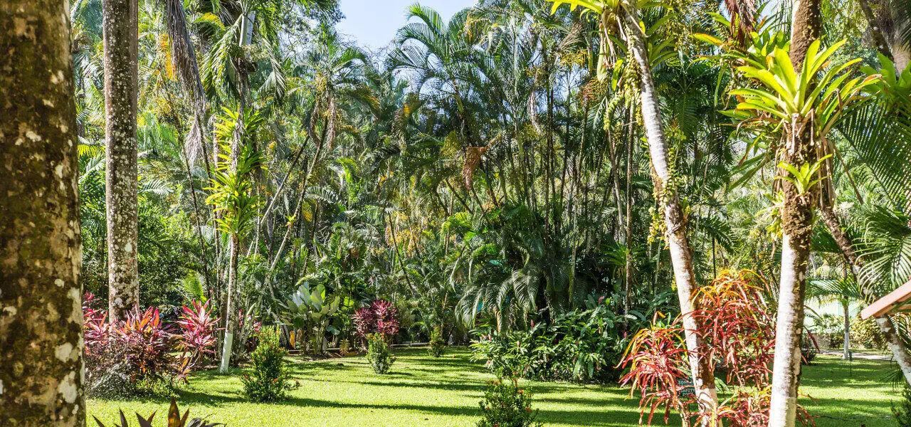 Costa Rica Adventure Family Holiday