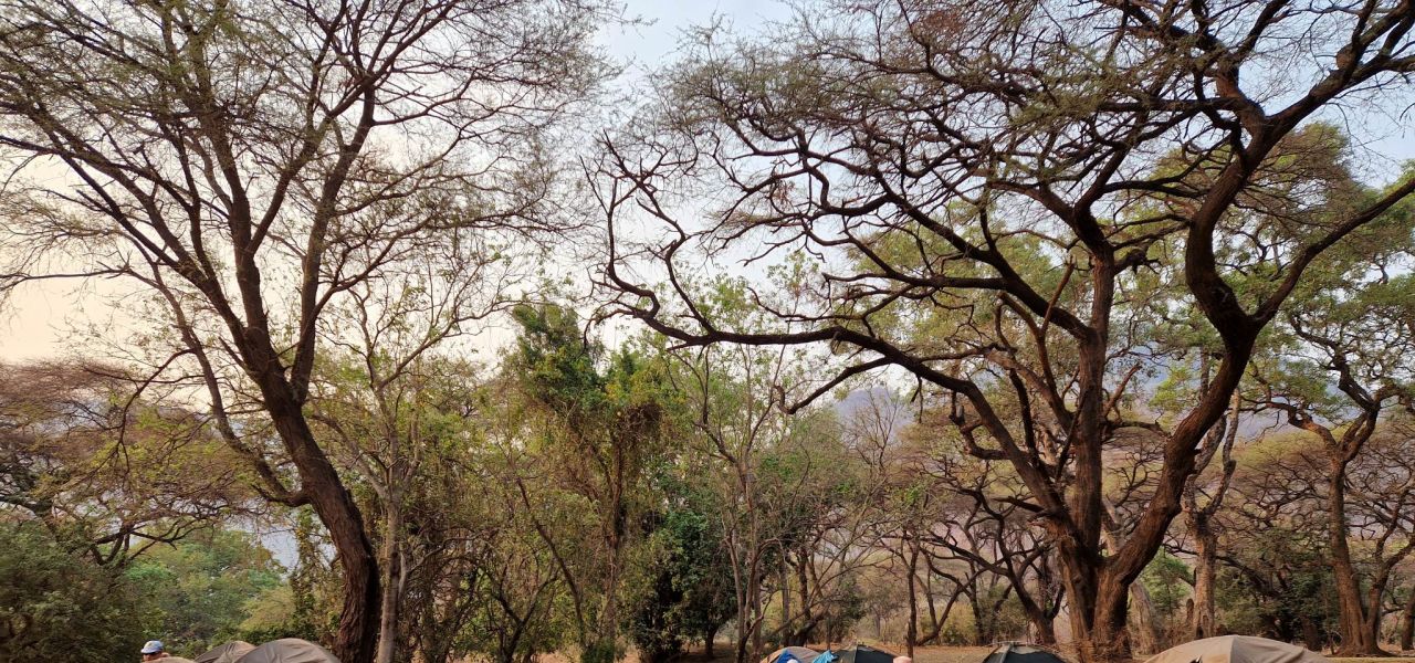 Zambezi Canoe Safari