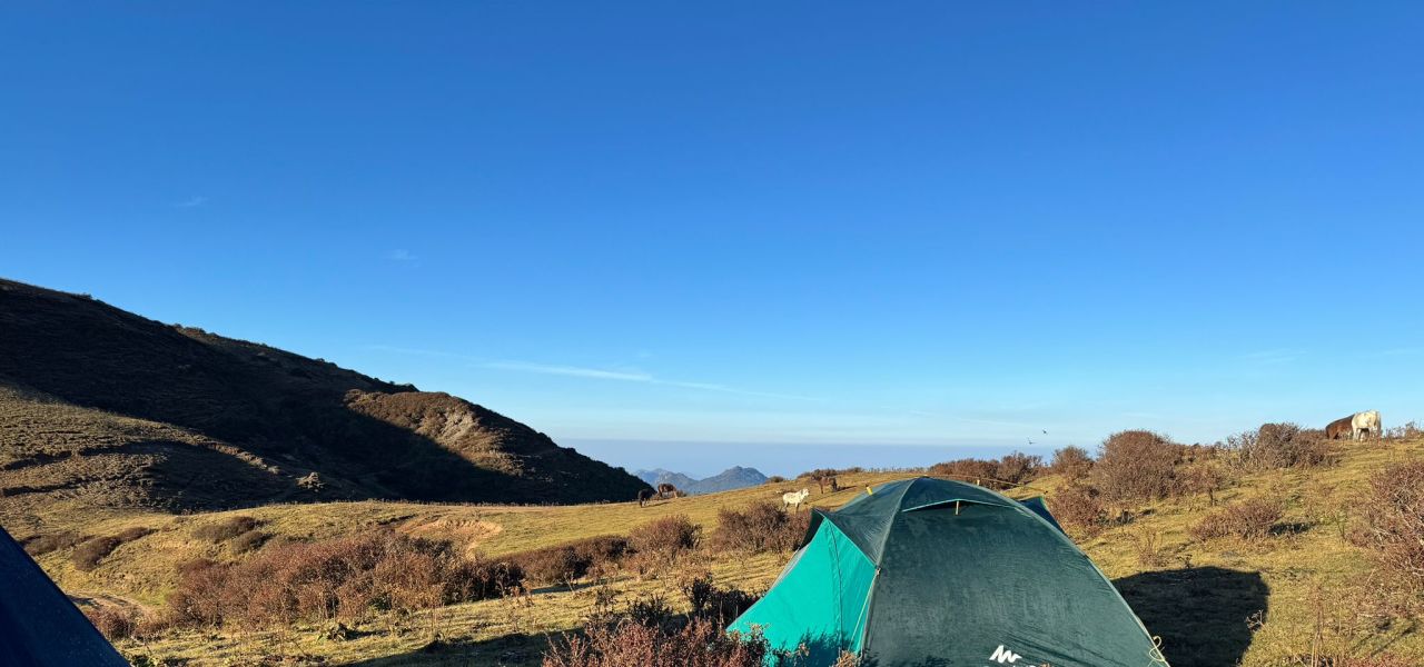 Trek Darjeeling, Sikkim & the Singalila Ridge