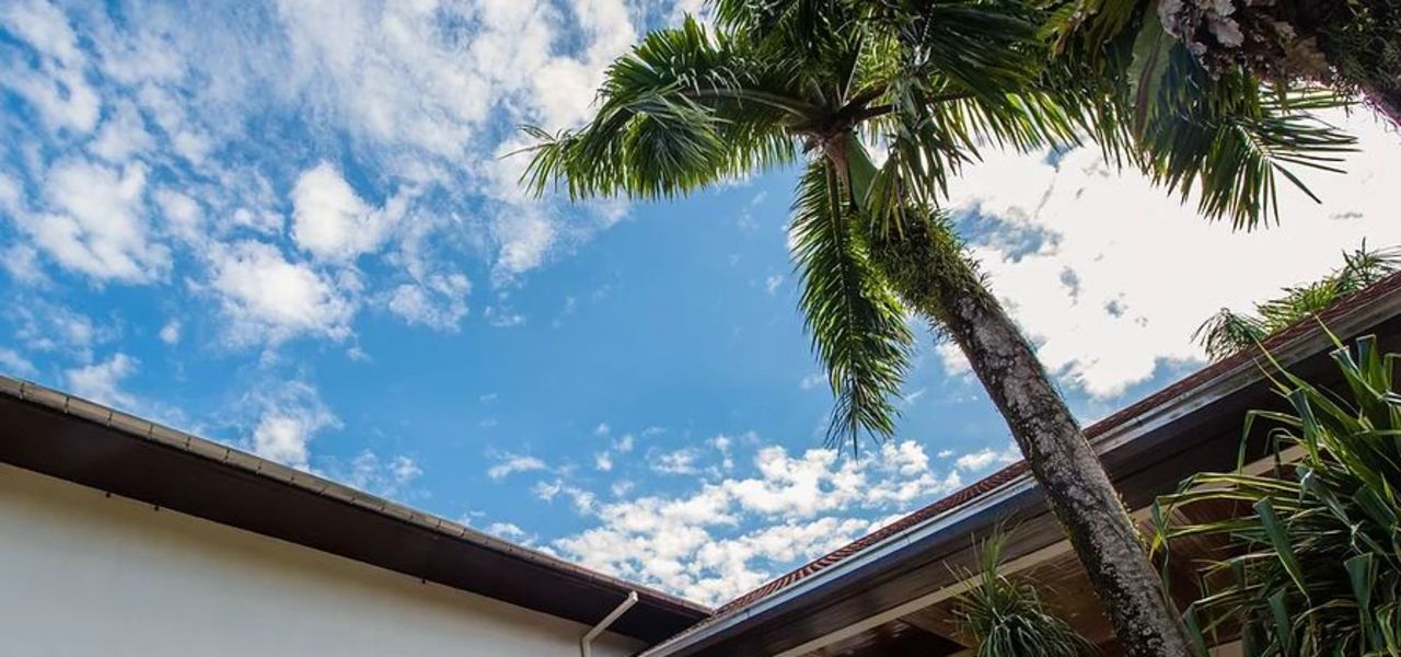 Borneo & the Malaysian Peninsula