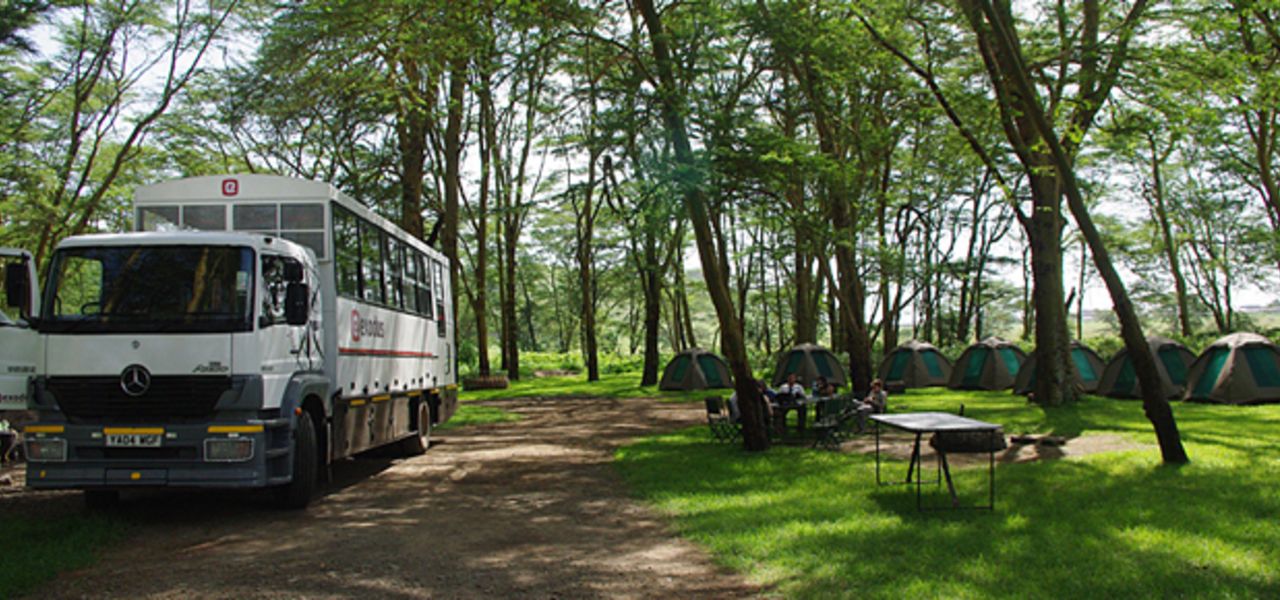 Gorillas & Masai Mara – Camping Reverse