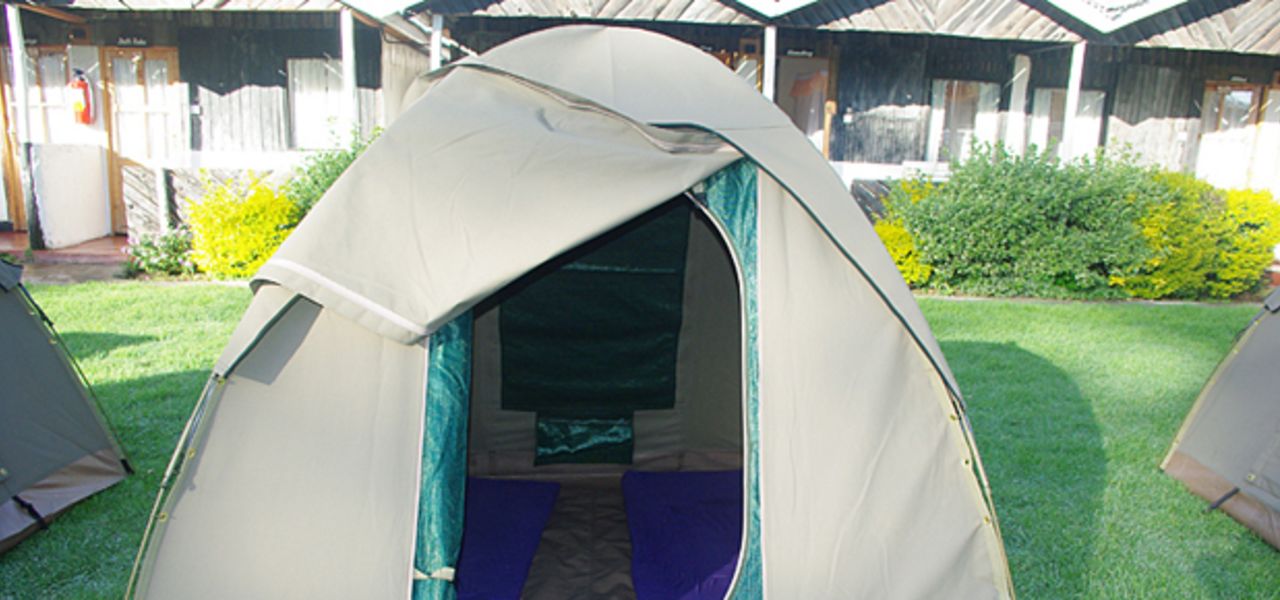 Gorillas & Masai Mara – Camping Reverse