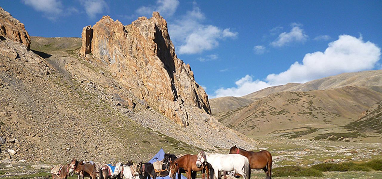 Peaks of Ladakh Trek
