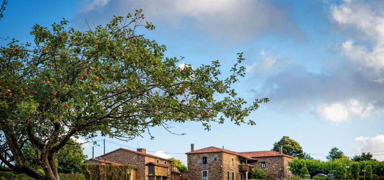 Highlights of the Camino de Santiago Walk