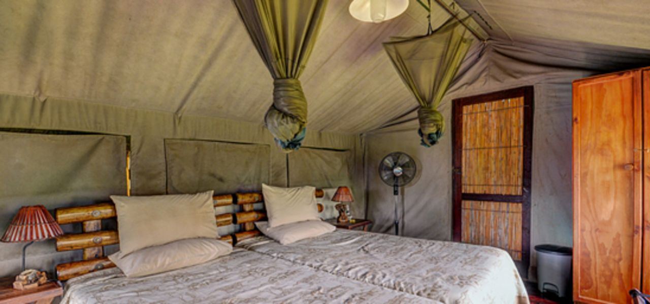 Southern Africa Safari: Kruger & Coast