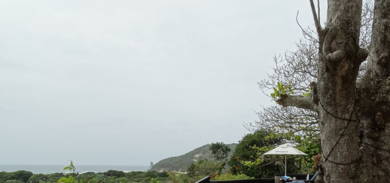 Southern Africa Safari: Kruger & Coast