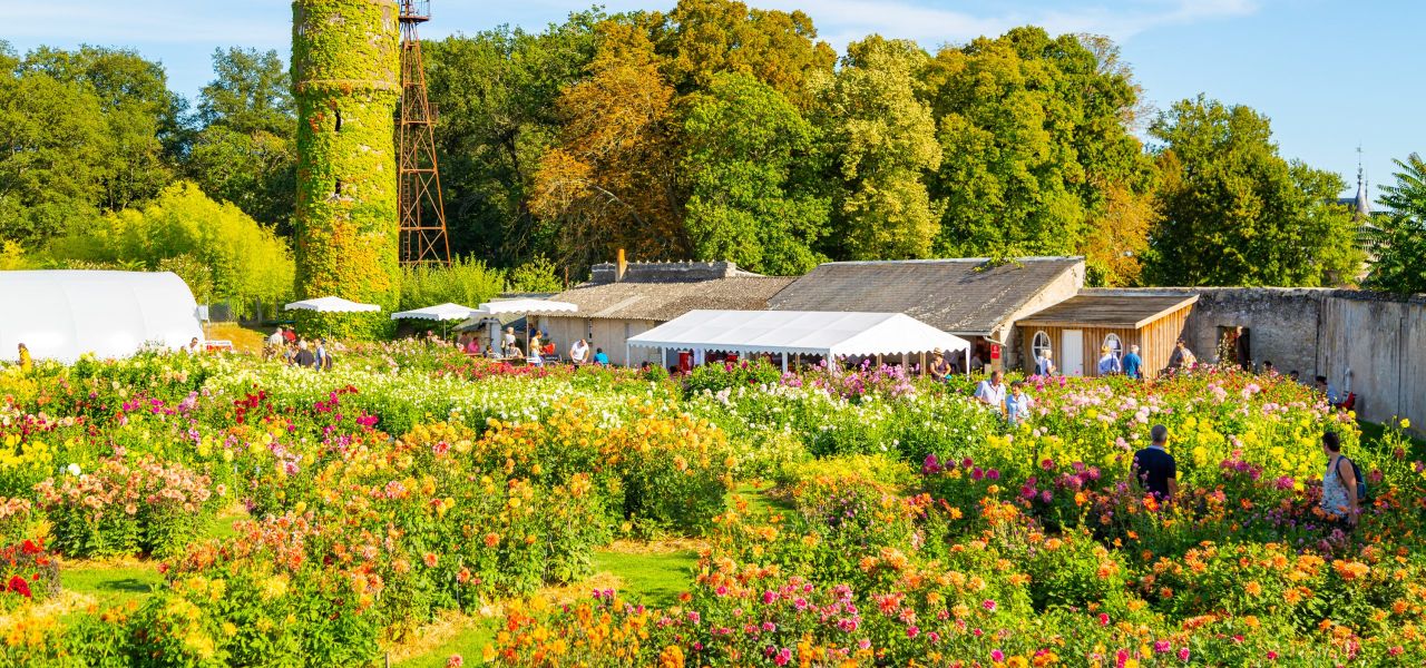 Loire Valley: Walks, Wine & Chateaux