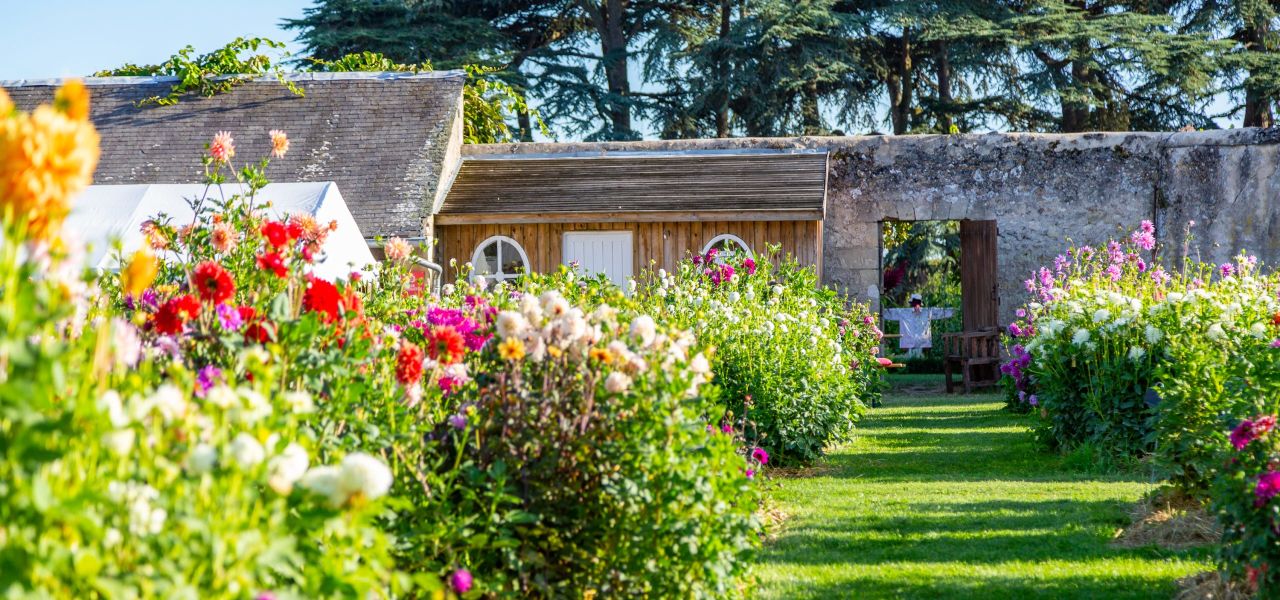 Loire Valley: Walks, Wine & Chateaux