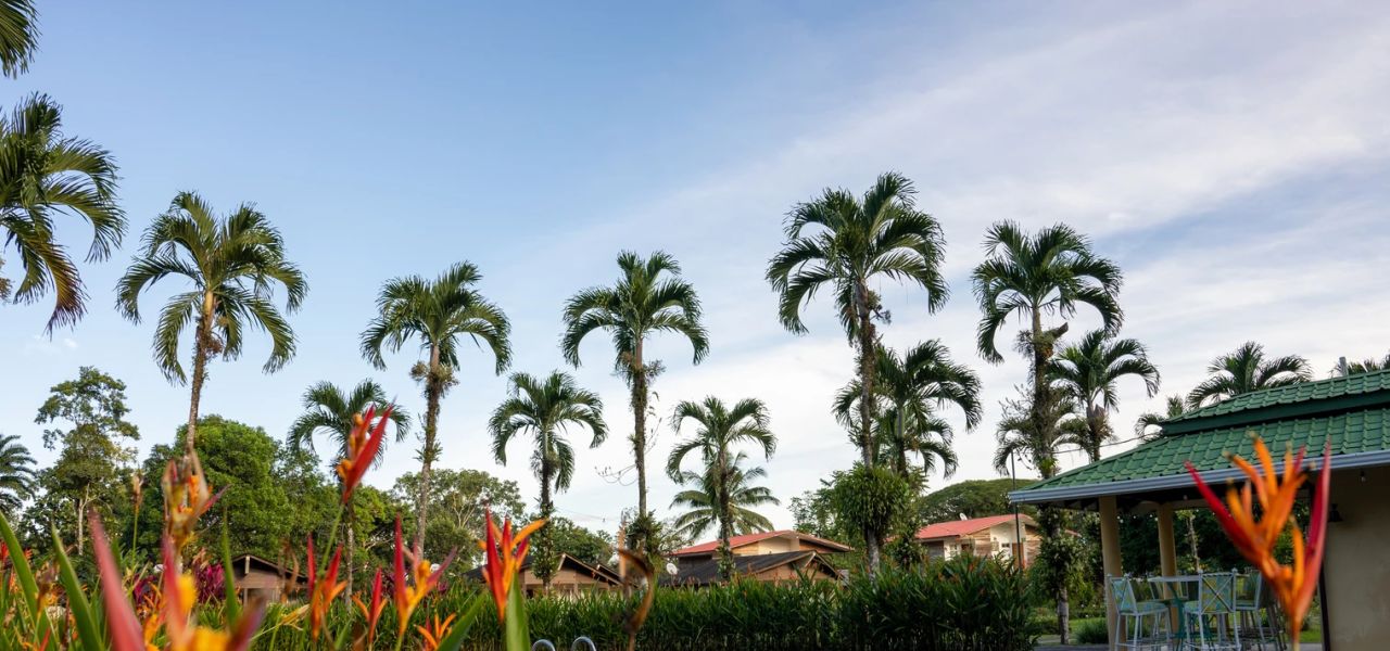 Discover Costa Rica – Coastal Edition