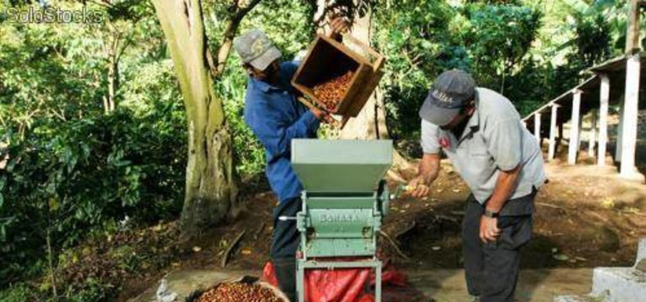 Colombia: Culture, Coffee & Caribbean