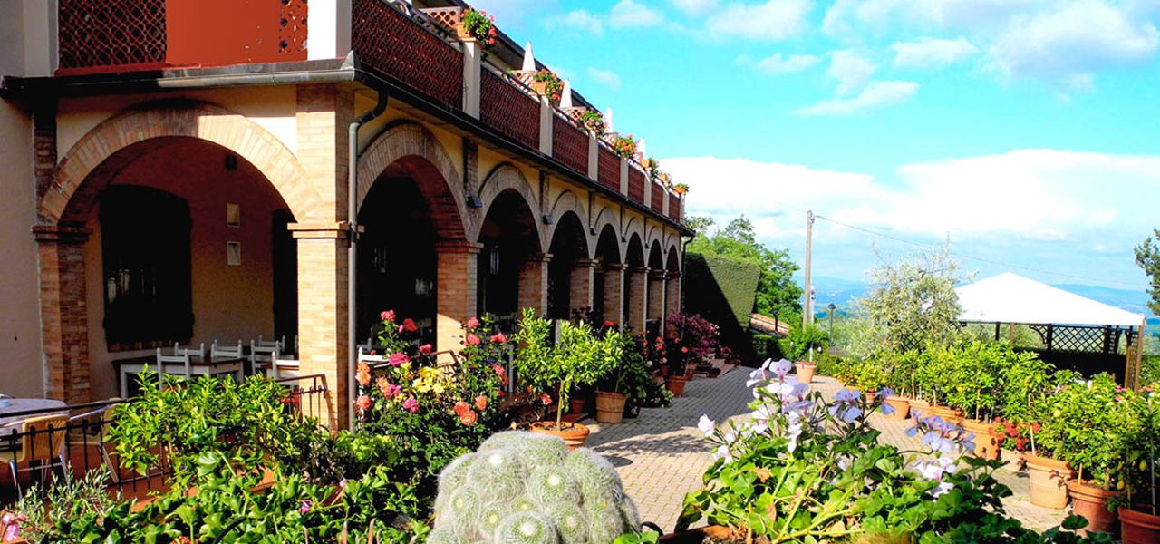 Tuscany Walks & Chianti Wines