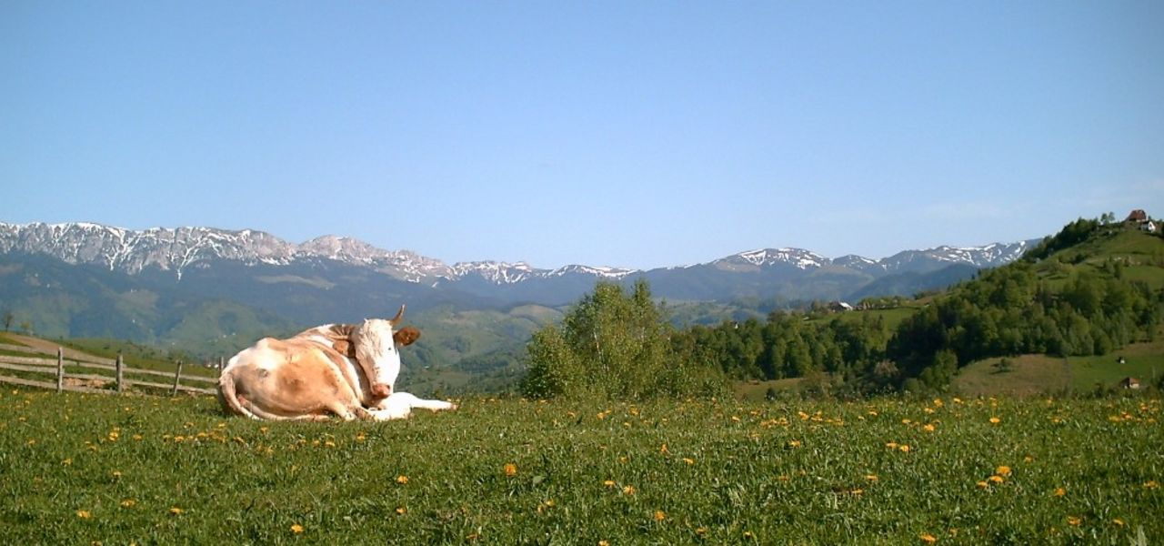 Summits of the Transylvanian Alps