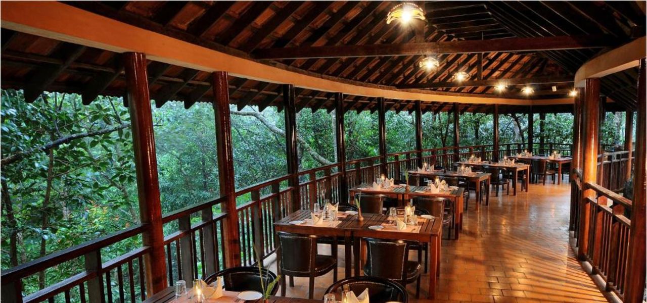 Discover South India – Premium Adventure