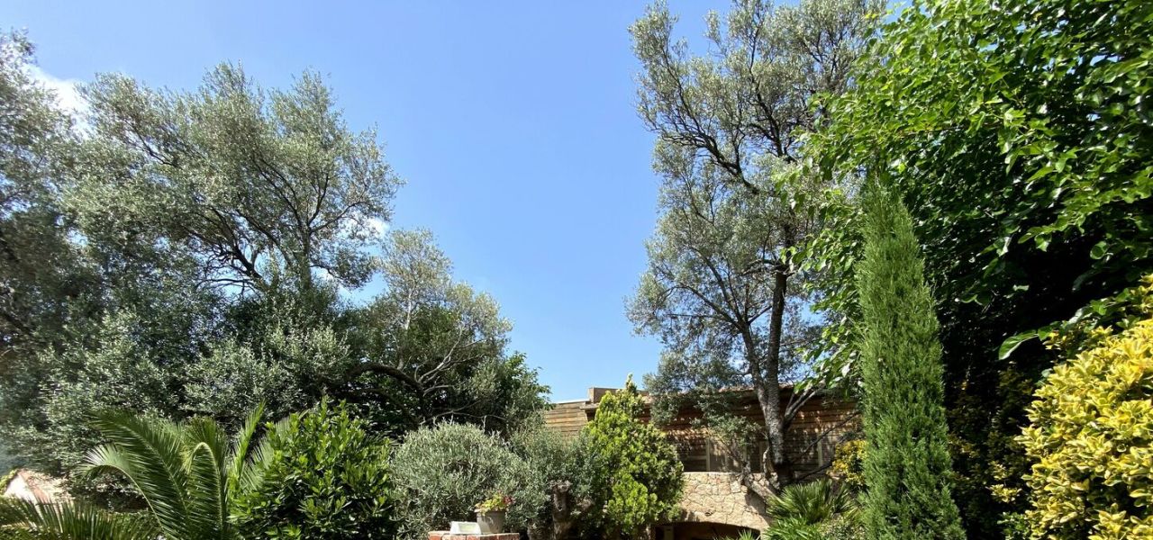 Trek the GR20 of Corsica