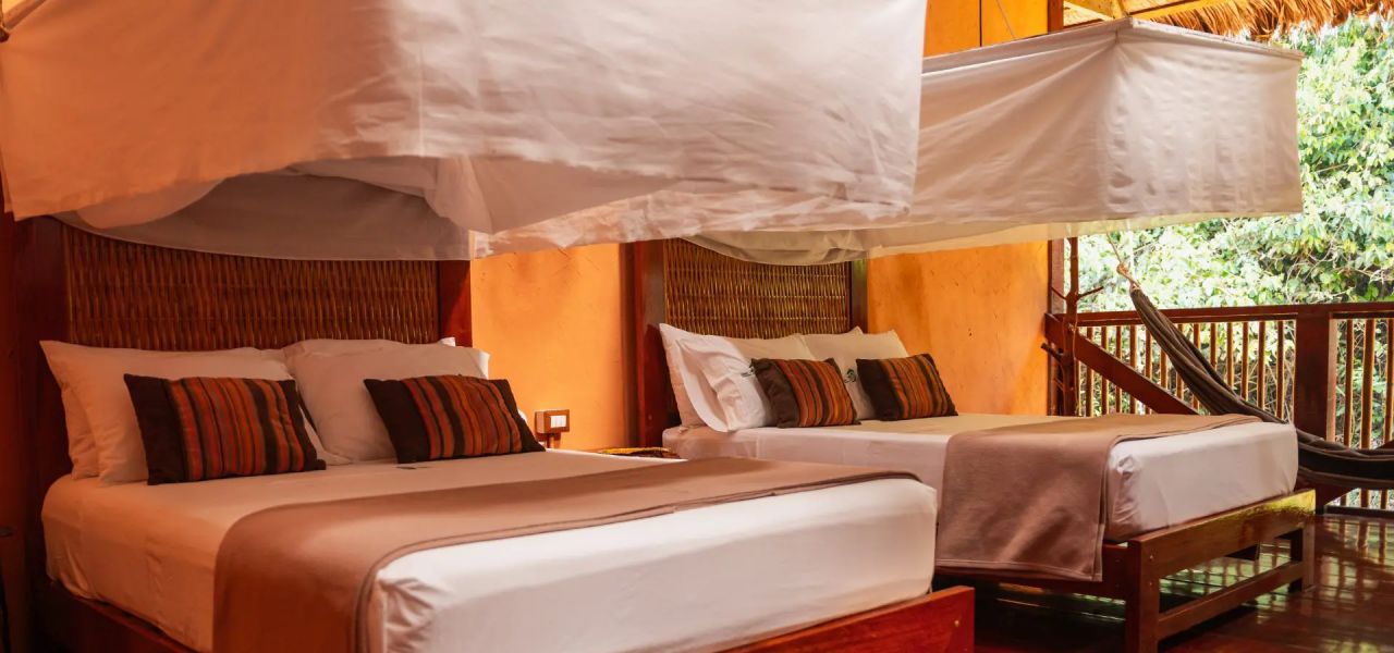 Premium Amazon Rainforest Add-on Tour (from Cuzco)