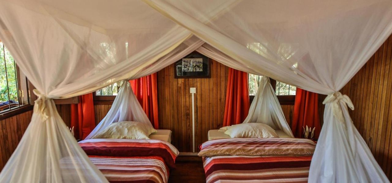 Madagascar Wildlife Adventure