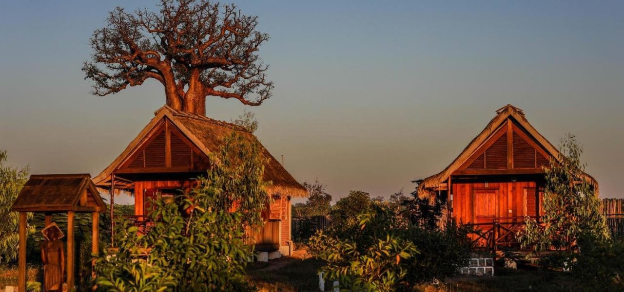 Madagascar Wildlife Adventure