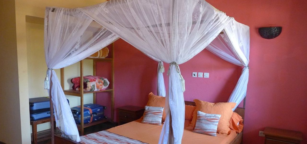 Madagascar Wildlife Adventure