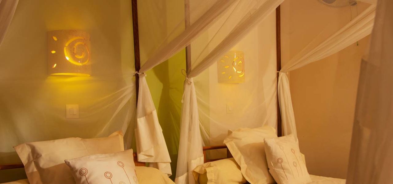 Madagascar Wildlife Adventure