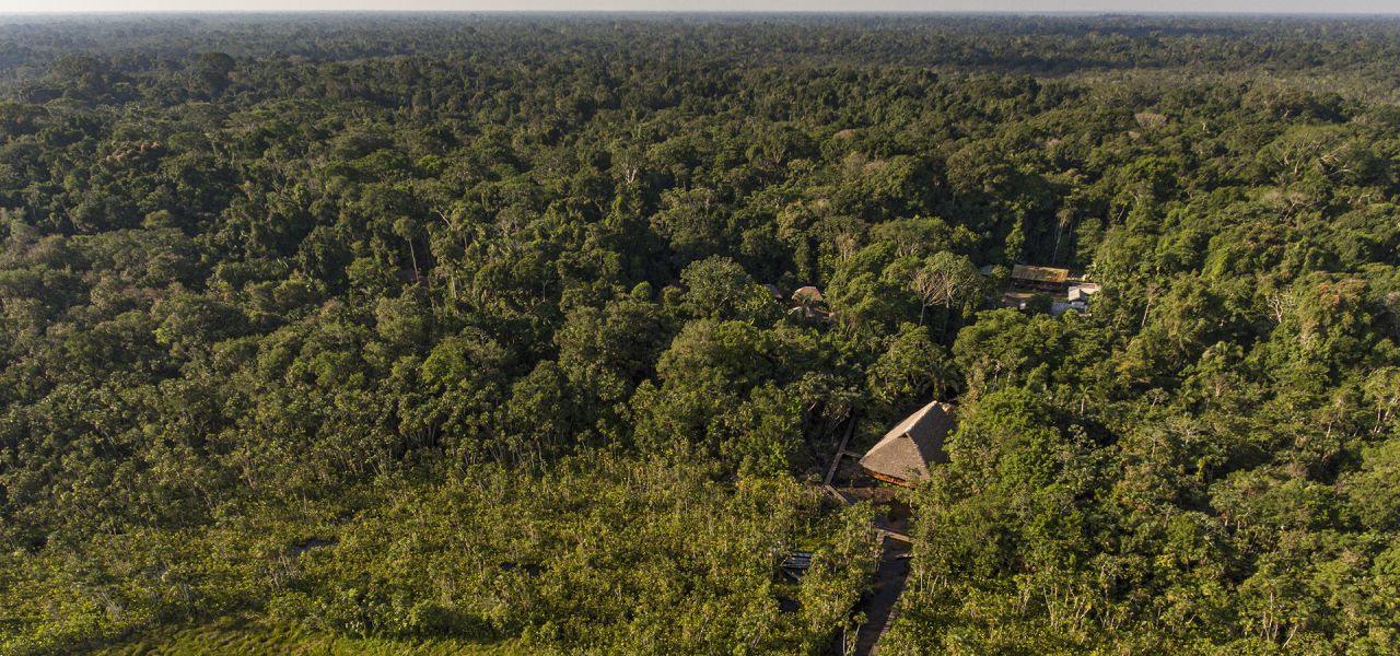 Sacha Lodge Add-on Tour