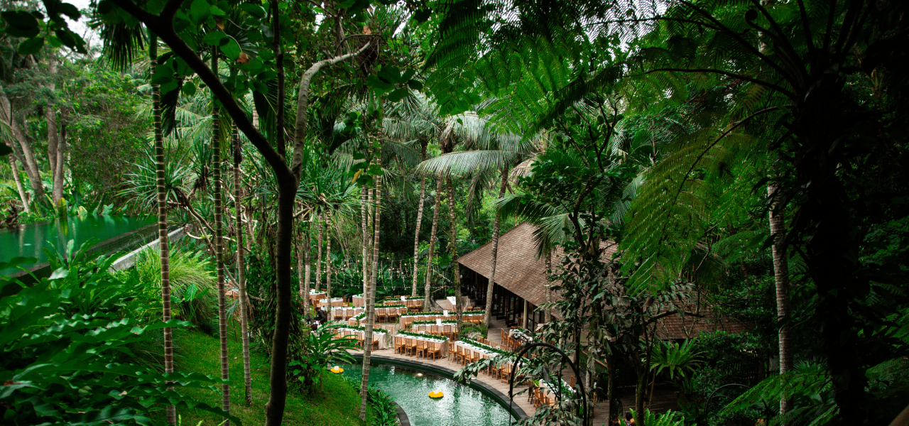 Signature Indonesia | The Sacred Wild Isles