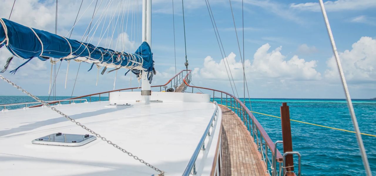 Marine Wildlife of the Maldives